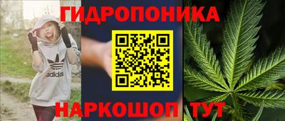 прущие грибы Конаково