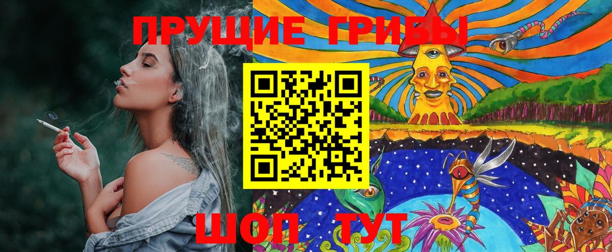 Галлюциногенные грибы Psilocybine cubensis  Вход с VPN  Кимовск 