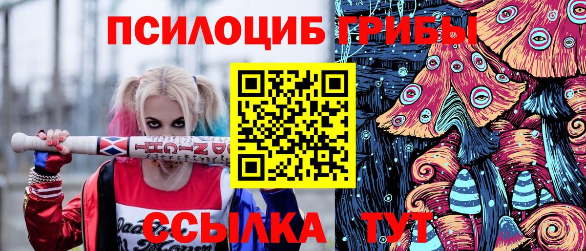 Псилоцибиновые грибы MAGIC MUSHROOMS Кимовск